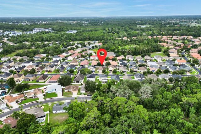3116 CALVANO DRIVE, Land O Lakes, FL 34639