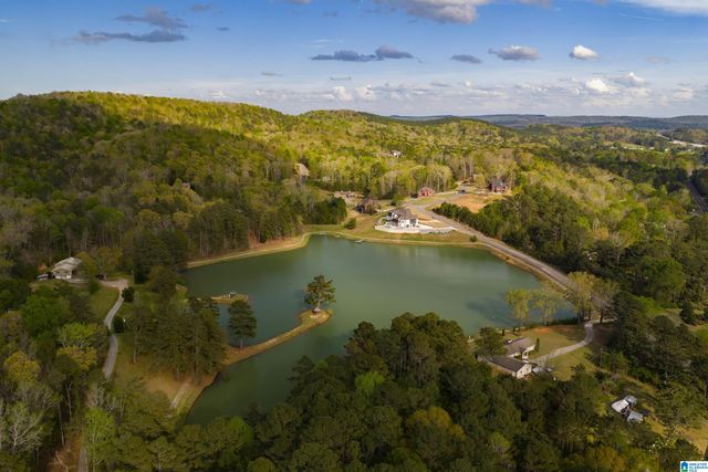 80 PRESERVE WAY, Springville, AL 35146