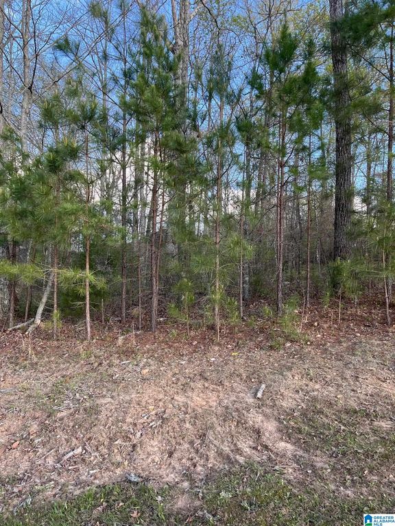 80 PRESERVE WAY, Springville, AL 35146