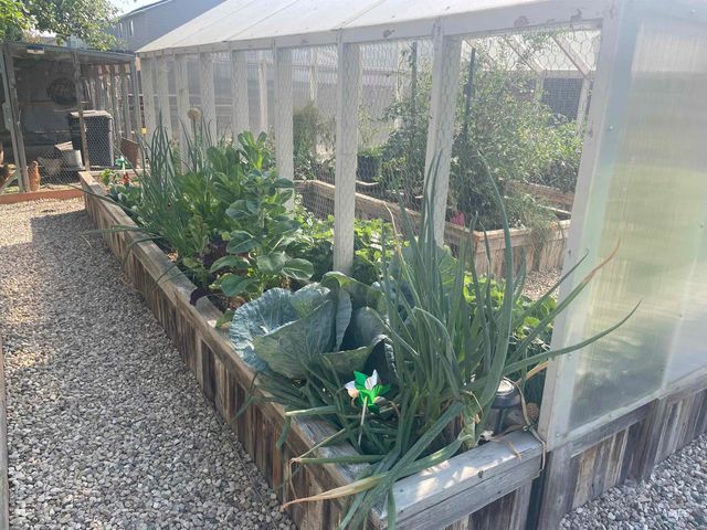 2522 N Snow Hawk, Kuna, ID 83634