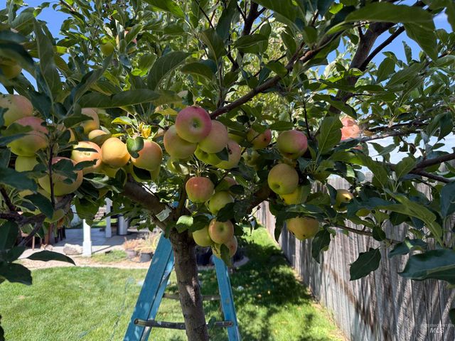 2522 N Snow Hawk, Kuna, ID 83634