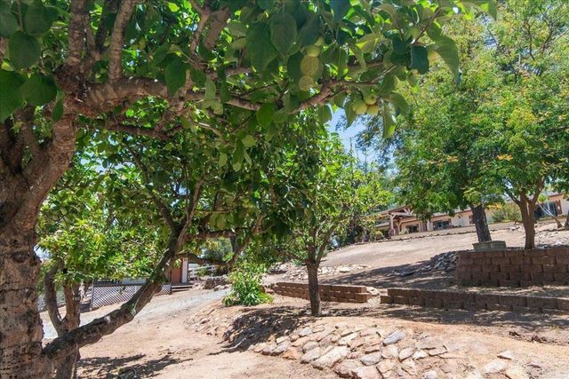 1238 Cedar Street, Ramona, CA 92065