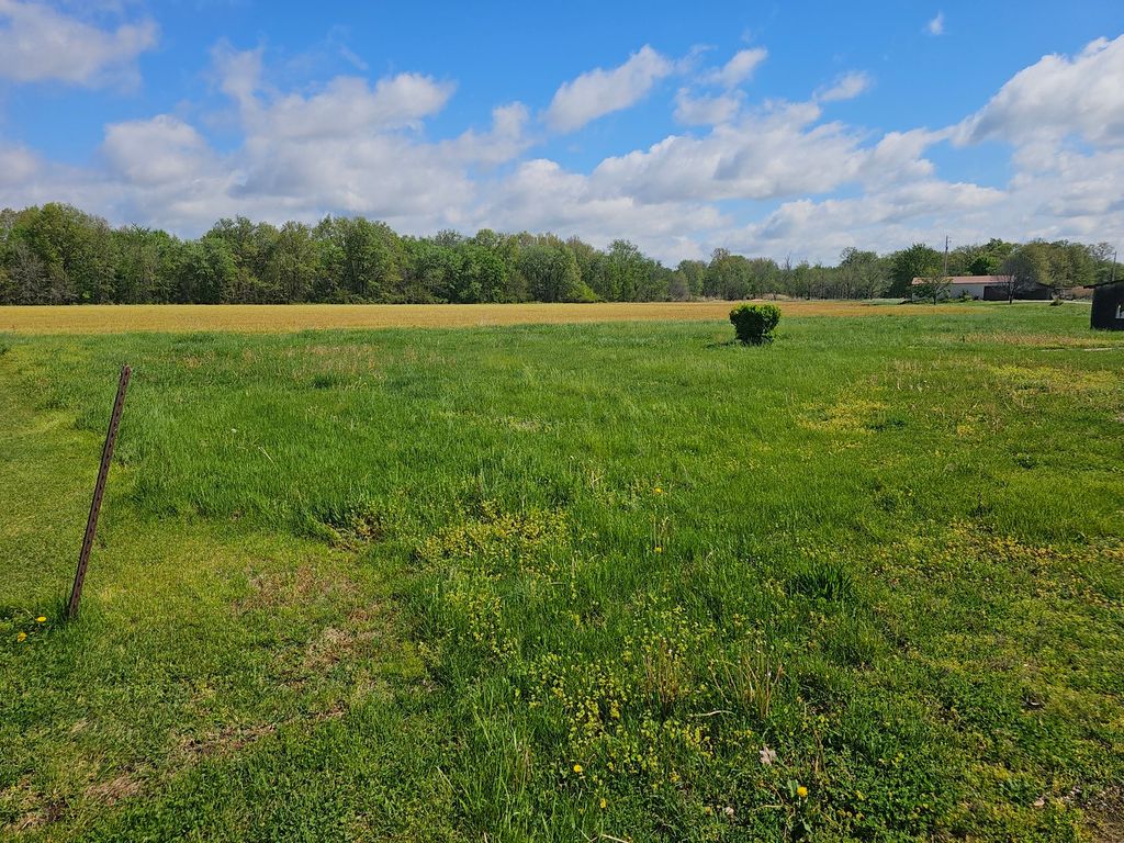 Image 16 of property listing at 607 Filbert Street, Odin, IL 62870