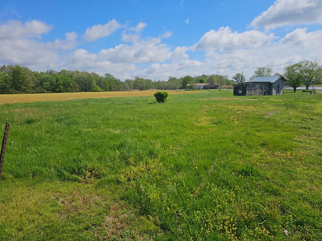 Image 17 of property listing at 607 Filbert Street, Odin, IL 62870