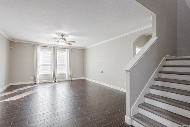 3028 Pencil Cholla, Schertz, TX 78154