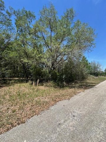 8681 N CATAPANE LOOP, Crystal River, FL 34428