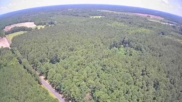 0 Nursery Road, Reevesville, SC 29471