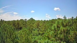 0 Nursery Road, Reevesville, SC 29471