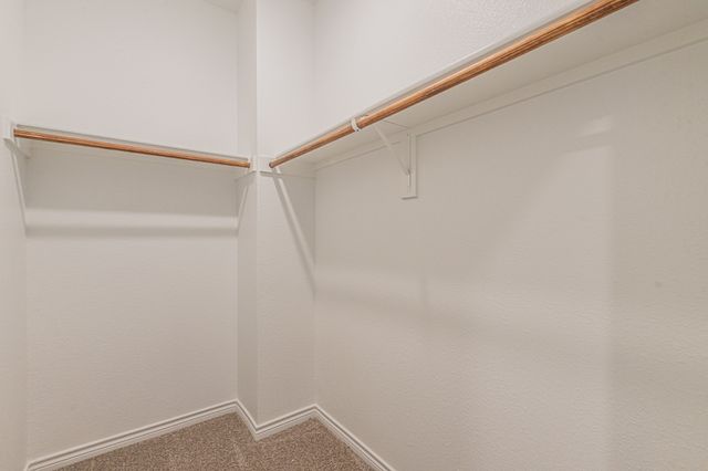 736 Thorn Creek Drive, Anna, TX 75409