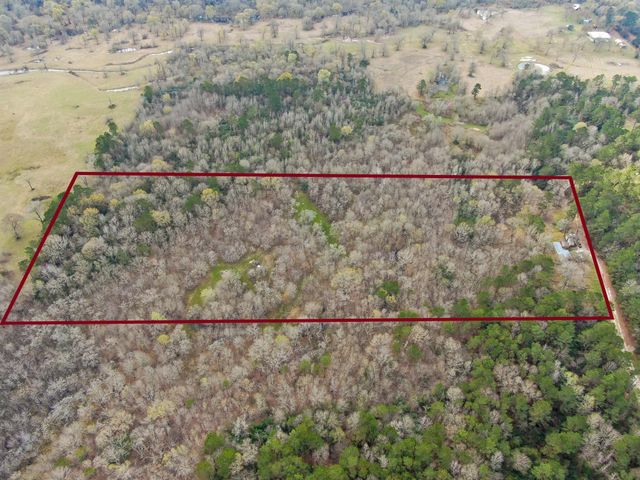 10081 Rocky Ridge Lane, Madisonville, TX 77864