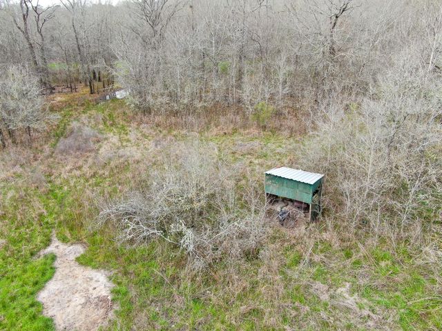 10081 Rocky Ridge Lane, Madisonville, TX 77864