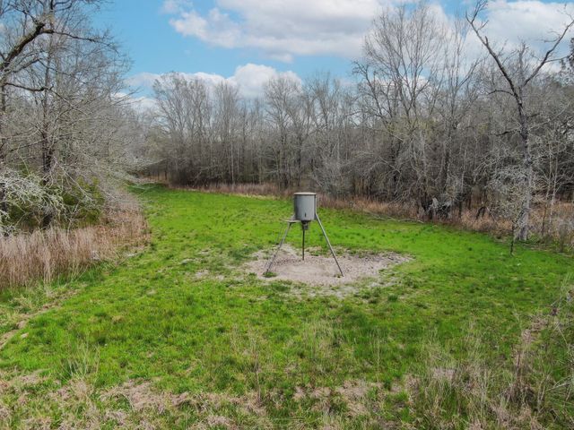 10081 Rocky Ridge Lane, Madisonville, TX 77864