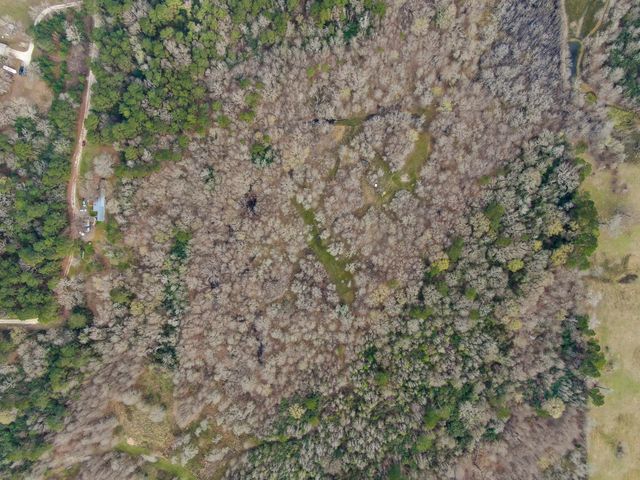 10081 Rocky Ridge Lane, Madisonville, TX 77864