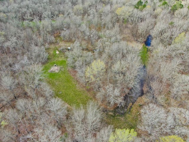 10081 Rocky Ridge Lane, Madisonville, TX 77864