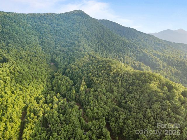 10 Turkey Trot Trail, Sylva, NC 28779