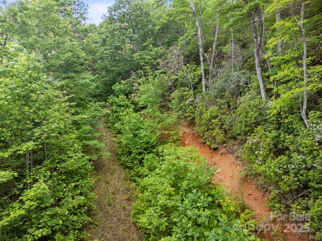 10 Turkey Trot Trail, Sylva, NC 28779
