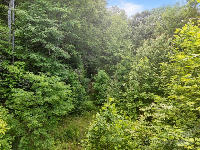 10 Turkey Trot Trail, Sylva, NC 28779