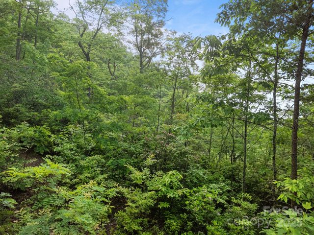 10 Turkey Trot Trail, Sylva, NC 28779