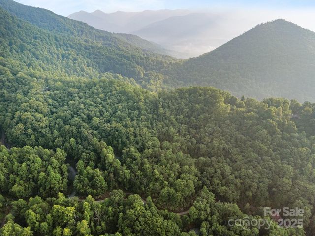 10 Turkey Trot Trail, Sylva, NC 28779