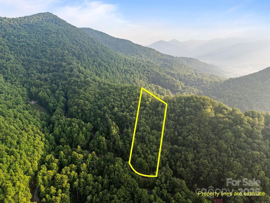 10 Turkey Trot Trail, Sylva, NC 28779