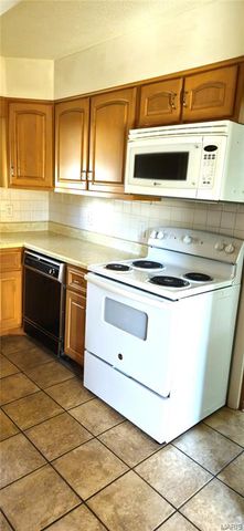 300 W 1st Street, Salem, MO 65560