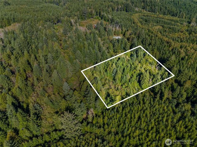 0 Rixon Road, South Bend, WA 98586