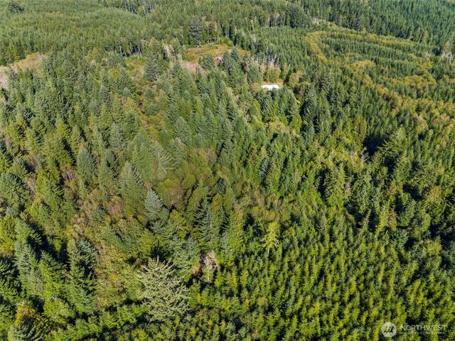 0 Rixon Road, South Bend, WA 98586