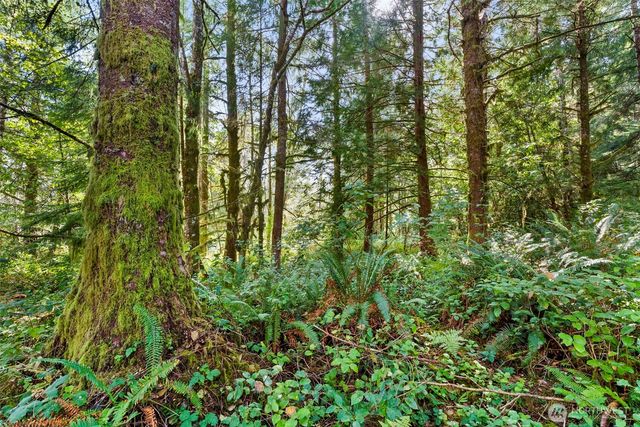 0 Rixon Road, South Bend, WA 98586