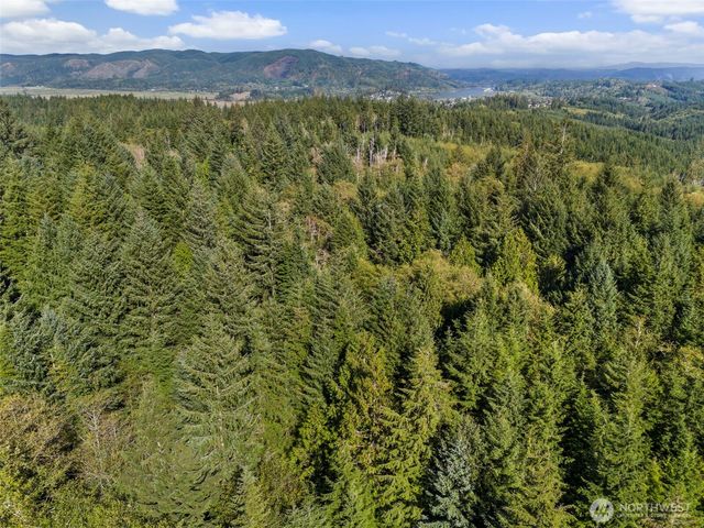 0 Rixon Road, South Bend, WA 98586