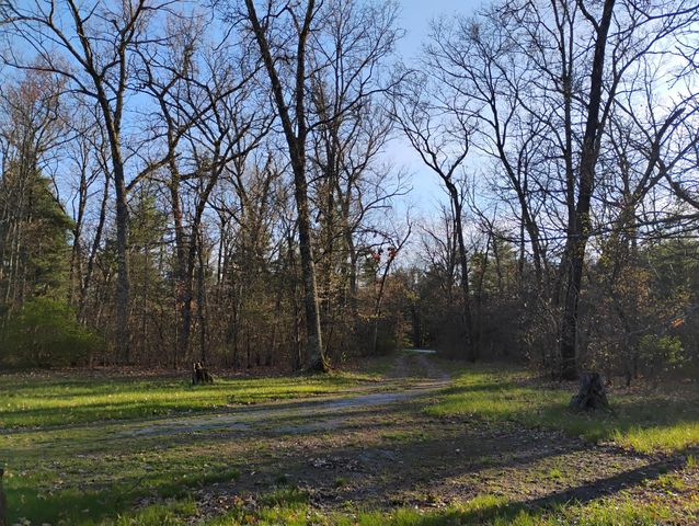 6136 S Poplar Avenue, Newaygo, MI 49337