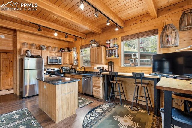 325 Willow Road, Divide, CO 80814
