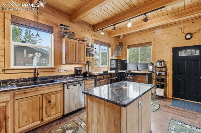 325 Willow Road, Divide, CO 80814