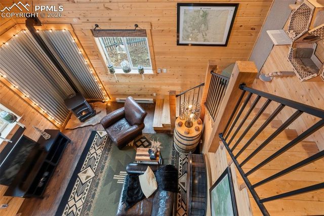 325 Willow Road, Divide, CO 80814