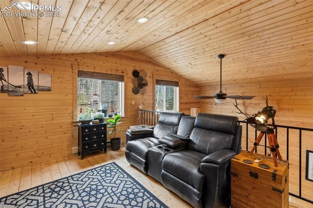325 Willow Road, Divide, CO 80814
