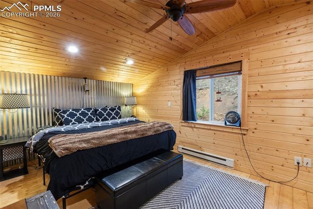 325 Willow Road, Divide, CO 80814