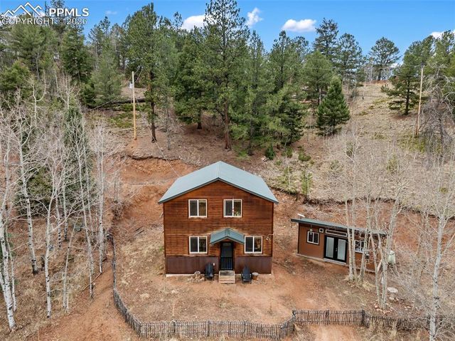 325 Willow Road, Divide, CO 80814