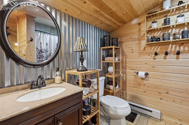 325 Willow Road, Divide, CO 80814
