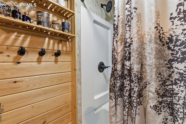 325 Willow Road, Divide, CO 80814