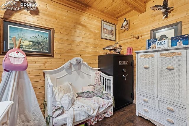 325 Willow Road, Divide, CO 80814
