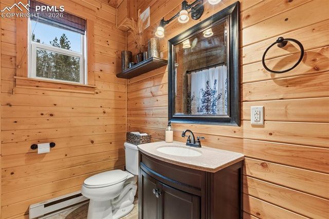 325 Willow Road, Divide, CO 80814