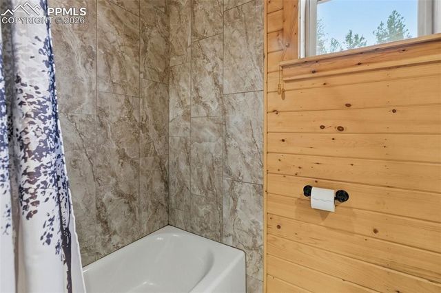 325 Willow Road, Divide, CO 80814