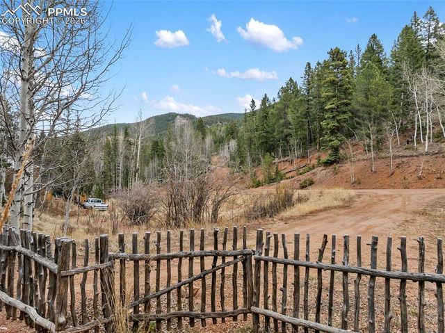 325 Willow Road, Divide, CO 80814