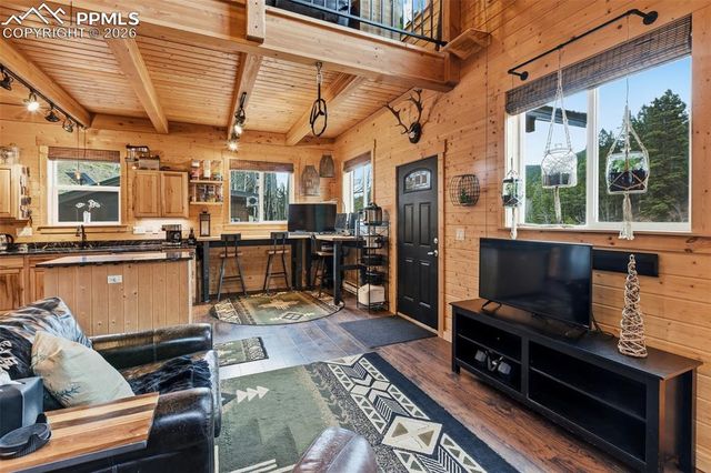 325 Willow Road, Divide, CO 80814