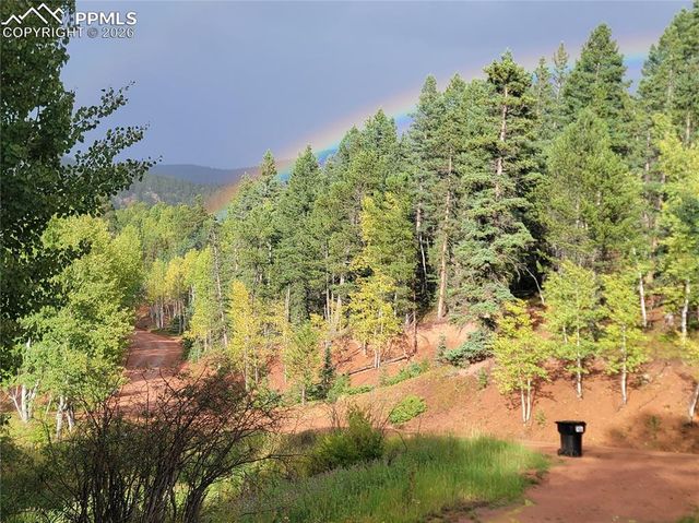 325 Willow Road, Divide, CO 80814