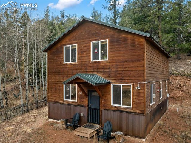 325 Willow Road, Divide, CO 80814