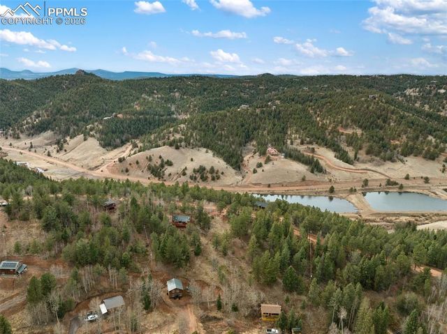 325 Willow Road, Divide, CO 80814