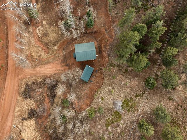 325 Willow Road, Divide, CO 80814