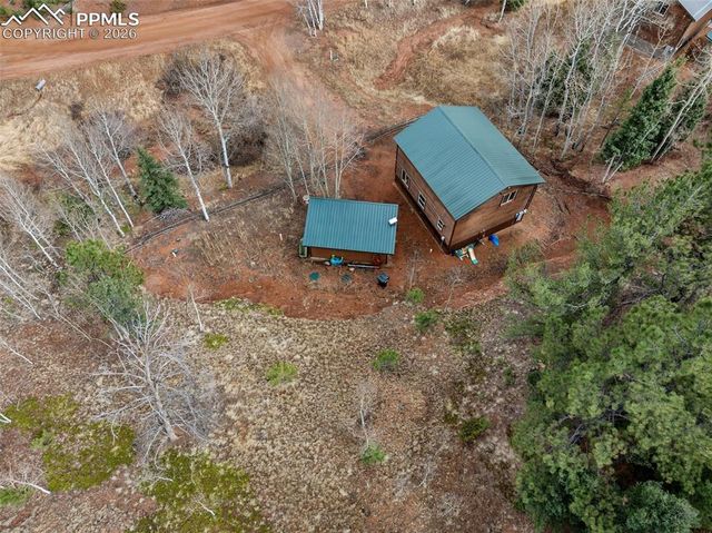 325 Willow Road, Divide, CO 80814