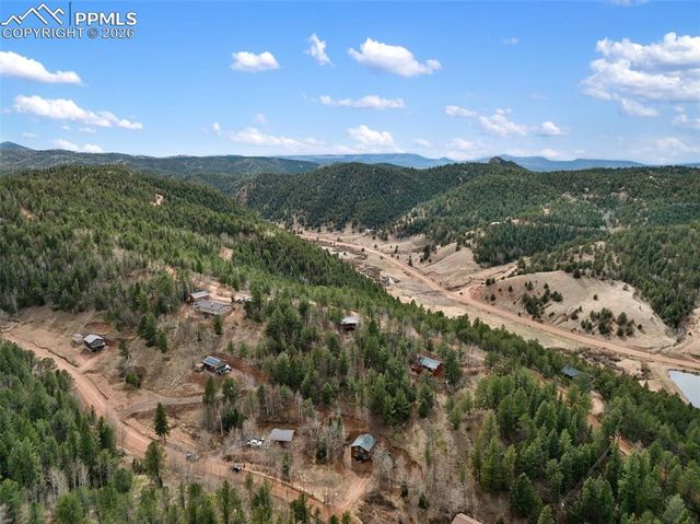 325 Willow Road, Divide, CO 80814