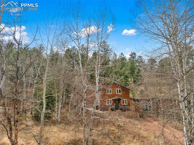 325 Willow Road, Divide, CO 80814